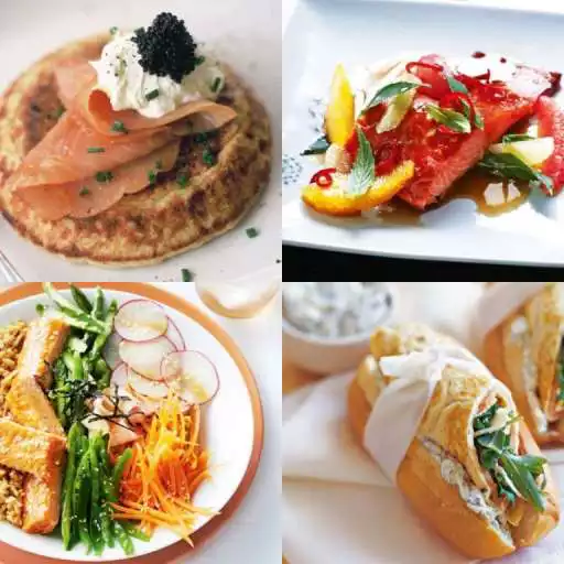 Play Salmon Recipes Offline APK Play Salmon Recipes Offline APK
