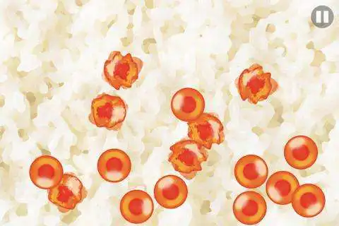 Play Salmon Roe
