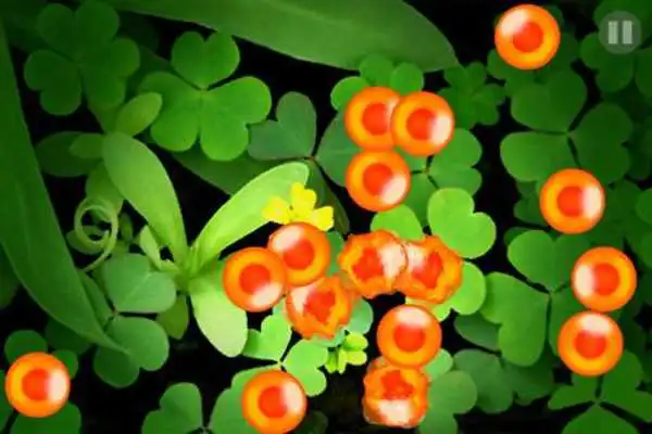 Play Salmon Roe