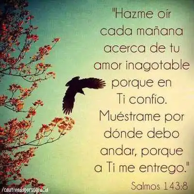 Play Salmos Celestiales Play Salmos Celestiales