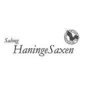 Free play online Salong Haninge Saxen APK