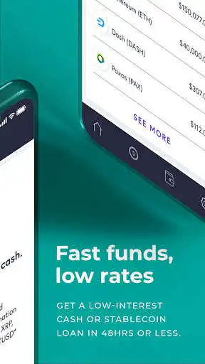 Play SALT Crypto Loans as an online game SALT Crypto Loans with UptoPlay
