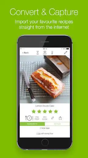 Play Salter Cook as an online game Salter Cook with UptoPlay