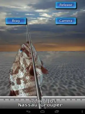 Play Saltwater Fishing For Friends