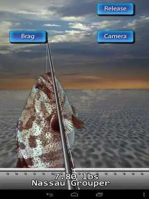 Play Saltwater Fishing For Friends