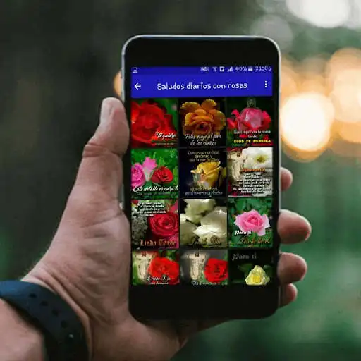 Play Saludos diarios con rosas and enjoy Saludos diarios con rosas with UptoPlay Play Saludos diarios con rosas and enjoy Saludos diarios con rosas with UptoPlay