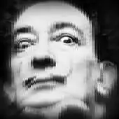 Free play online Salvador Dali Experience APK