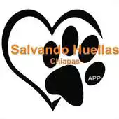 Free play online Salvando Huellas Chiapas APK