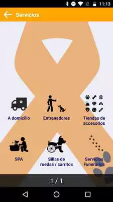 Play Salvando Huellas Chiapas Play Salvando Huellas Chiapas