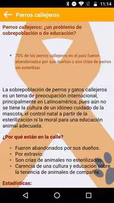 Play Salvando Huellas Chiapas Play Salvando Huellas Chiapas