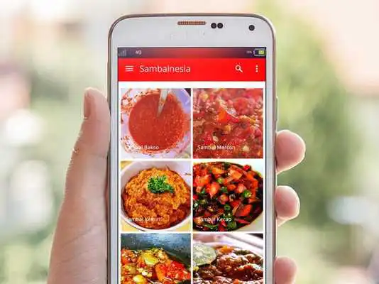 Play Sambalnesia 55+ Resep Sambal