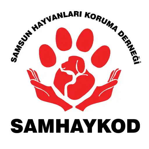 Play SamHayKod Mobil APK