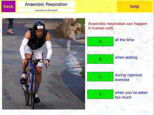 Play Sample 21st Cent. Add. Review