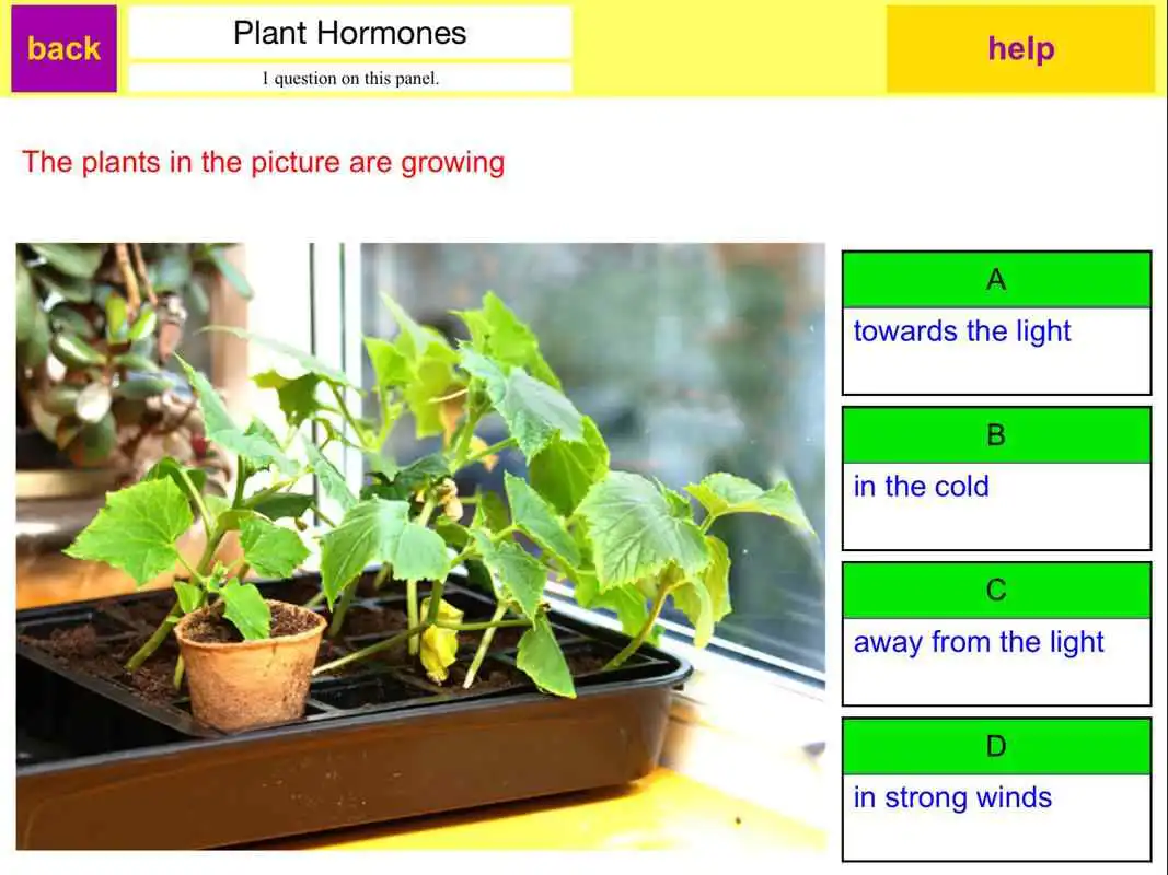 Play Sample 21st Cent. Add. Review