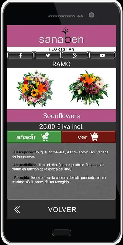 Play Sanaben Floristas