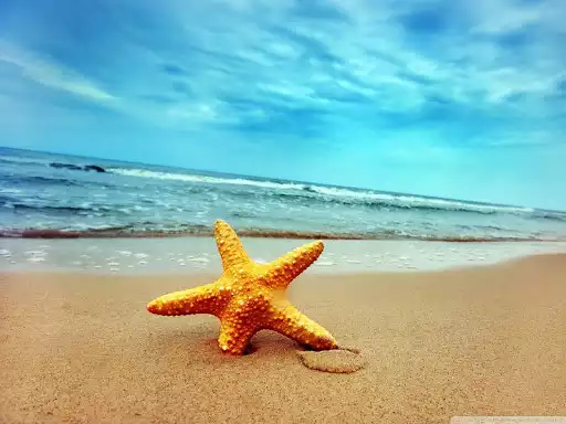 Play Sand wallpapers