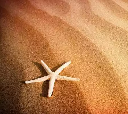 Play Sand wallpapers