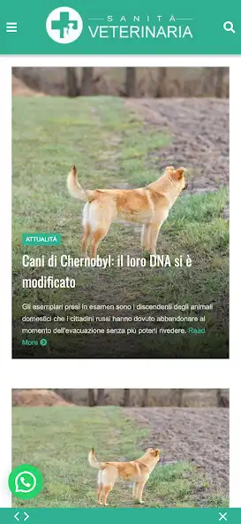 Play Sanitaveterinaria.com as an online game Sanitaveterinaria.com with UptoPlay