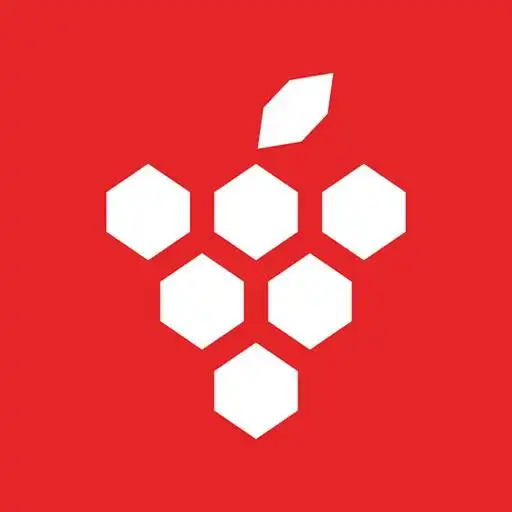 Play Sanly Market APK Play Sanly Market APK