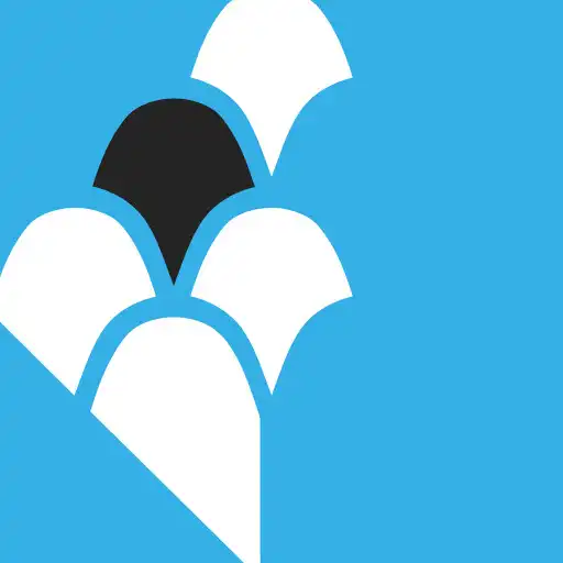 Play Sant Feliu de Codines APK