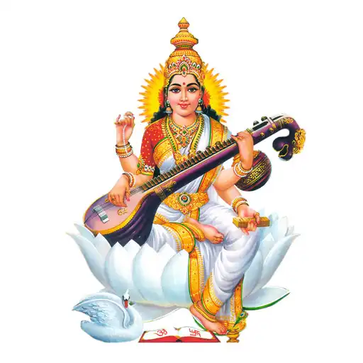 Play Saraswati Vihar School APK