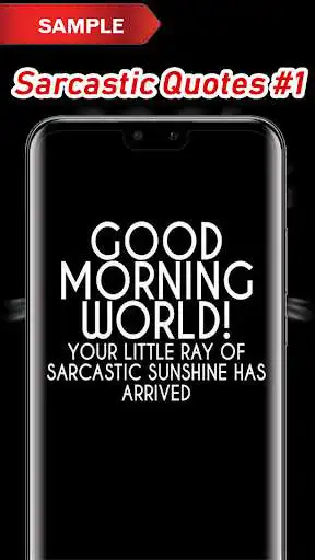 Play Sarcastic Quotes as an online game Sarcastic Quotes with UptoPlay