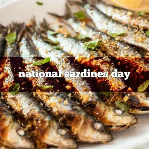 Play Sardines Day APK Play Sardines Day APK