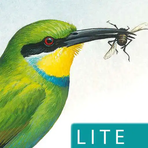Run free android online Sasol eBirds (Lite) APK