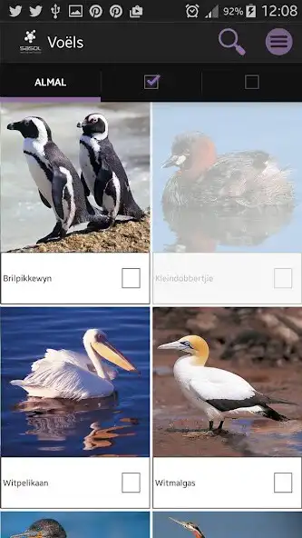 Play Sasol Voëls vir Beginners as an online game Sasol Voëls vir Beginners with UptoPlay