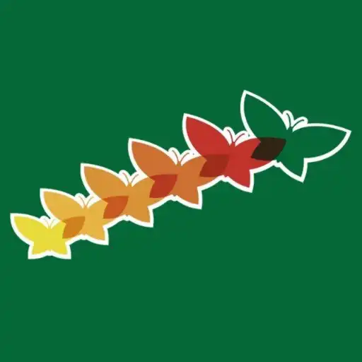 Play Sat Mexico APK Play Sat Mexico APK