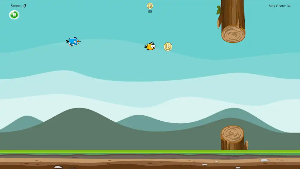 Play Satoshi Bird as an online game Satoshi Bird with UptoPlay
