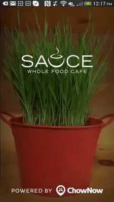 Play Sauce Whole Food Cafe