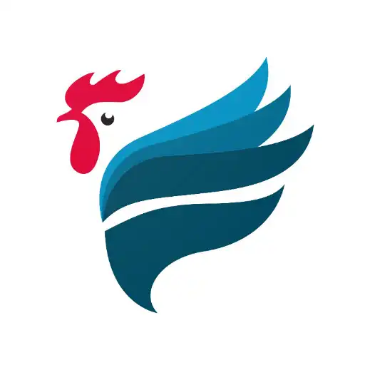 Play Saud Chicken Jhalod APK Play Saud Chicken Jhalod APK