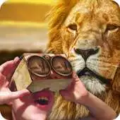 Free play online Savanna Virtual Reality APK