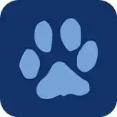 Free play online Save a Stray APK Free play online Save a Stray APK