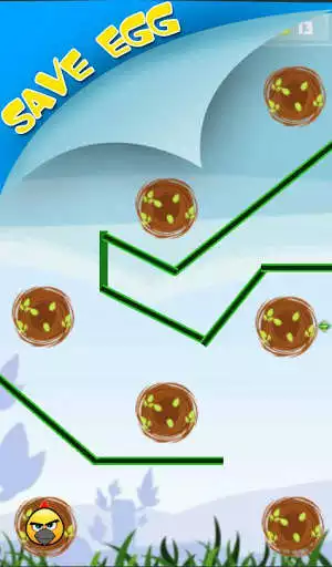 Play Save Egg : Escape from wild piggies Play Save Egg : Escape from wild piggies