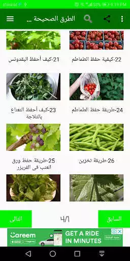 Play save food