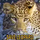 Free play online Save Leopard APK