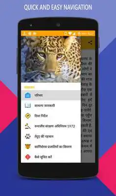Play Save Leopard Play Save Leopard