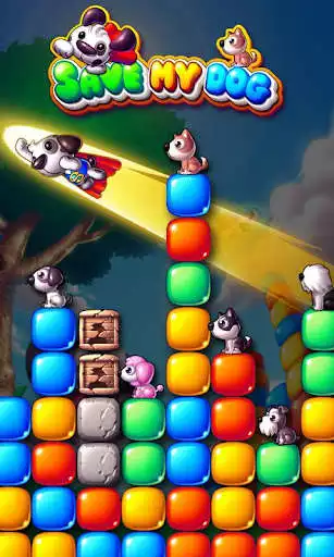 Play Save My Dog