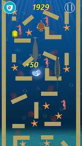 Play Save the Bubble Play Save the Bubble