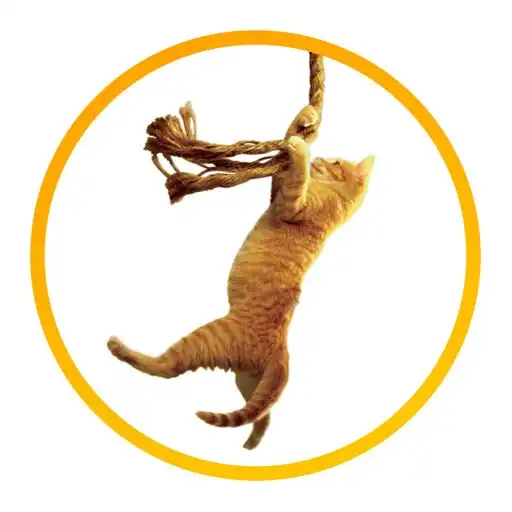 Play Save the cat APK