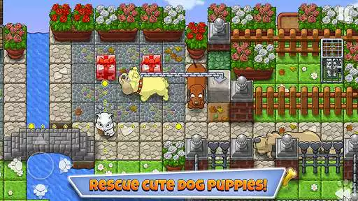 Play Save the Puppies Premium  and enjoy Save the Puppies Premium with UptoPlay