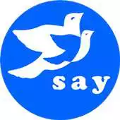 Free play online SayApp APK