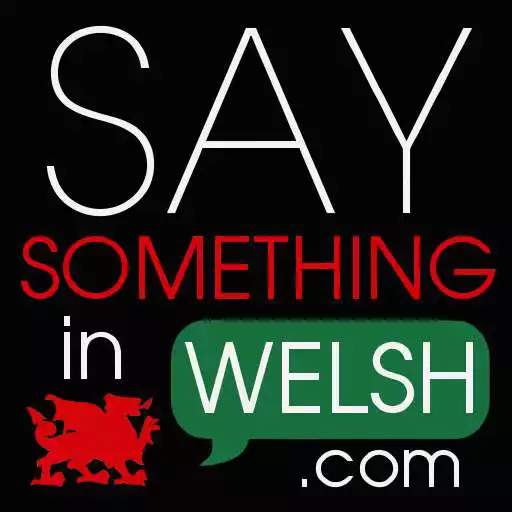 Free play online Say Something in Welsh APK Free play online Say Something in Welsh APK