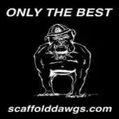 Free play online Scaffold Dawgs APK Free play online Scaffold Dawgs APK