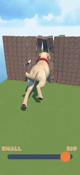 Play ScaleDog as an online game ScaleDog with UptoPlay