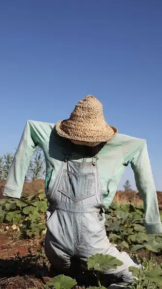 Play Scarecrow Wallpaper  and enjoy Scarecrow Wallpaper with UptoPlay