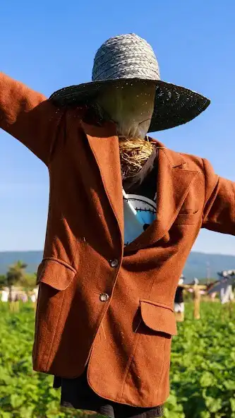 Play Scarecrow Wallpaper as an online game Scarecrow Wallpaper with UptoPlay