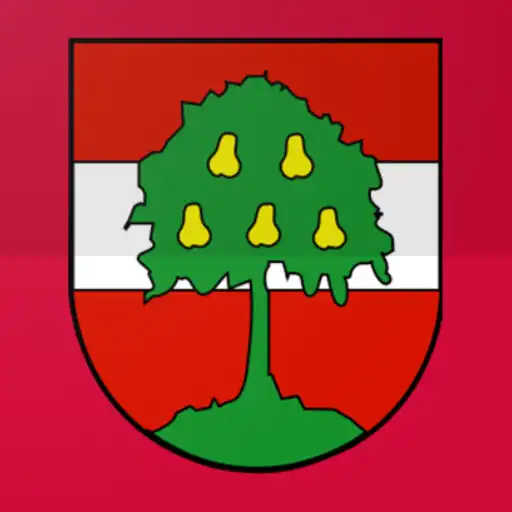 Play Schau auf Dornbirn APK Play Schau auf Dornbirn APK